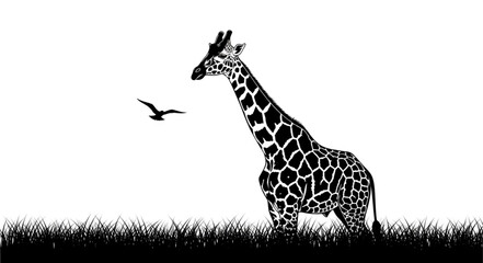 giraffe in the grass © Muh
