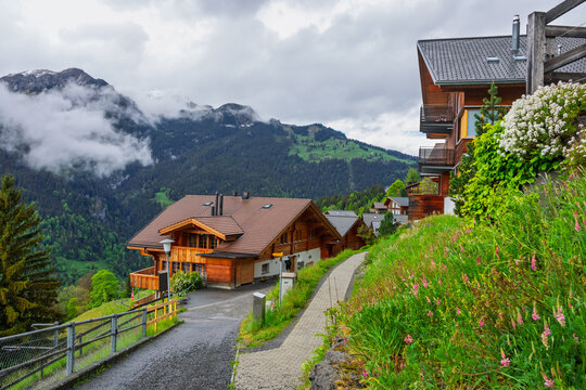 Wengen village chalets and Swiss Alps landscape