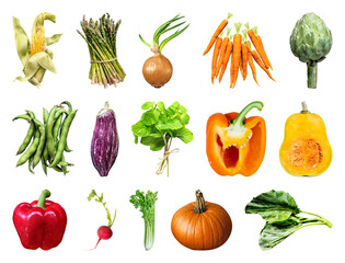 PNG Colorful fresh vegetables assortment on transparent background © Rawpixel.com