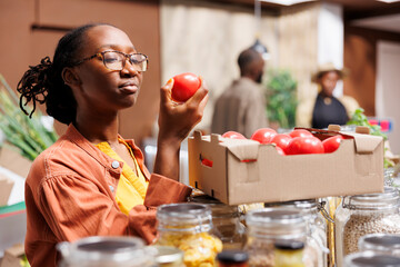 Naklejka premium Detailed view of a young black woman holding and admiring a ripened red tomato in an eco friendly supermarket. Image showing an African American lady examining freshly harvested produce.