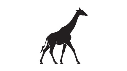 Fototapeta premium Giraffe Silhouette Walking For Wildlife Concepts
