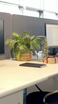 Vertical video: Panning camera revealing plant in tan pot on office desk for desk view with tinsel