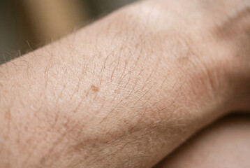 Fototapeta premium Close up of human arm skin showing fine hair and a small mole