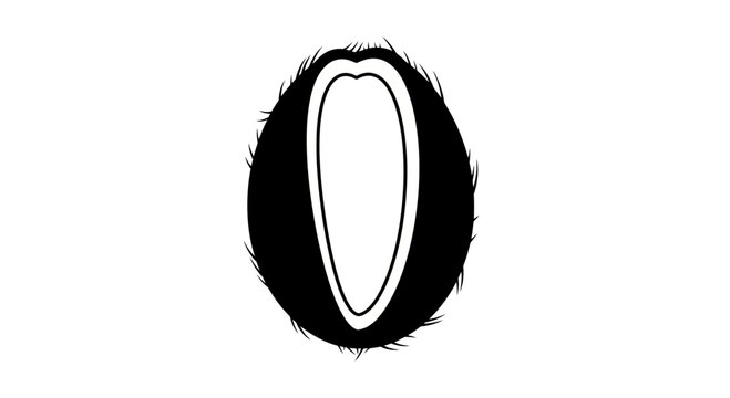 Coconut seed illustration depicts a cross section of a tropical drupe with fibrous outer shell and white inner meat suitable for botanical studies or healthy food marketing campaigns.