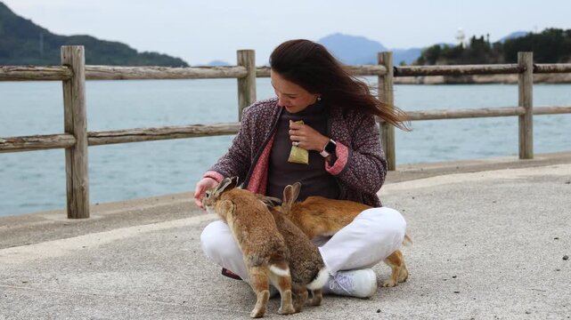 Rabbit Island, Japan, Okunoshima Island landscape in Seto Inland Sea, Takehara, Hiroshima Prefecture, domestic and wild cute rabbits and bunnies pasturing on grass, Setonaikai National Park, Japan