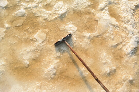 naild on salt field

A traditional wooden rake rests on a textured bed of crystallizing salt in a salt pan during harvest