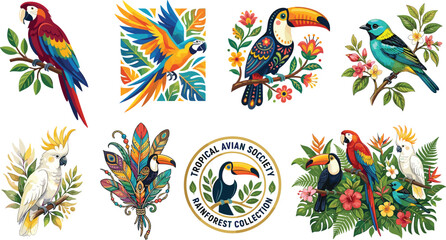 Exotic tropical bird vector illustration set featuring parrots macaws toucans and cockatoos with vibrant rainforest flowers and jungle foliage © SeeShoyagini