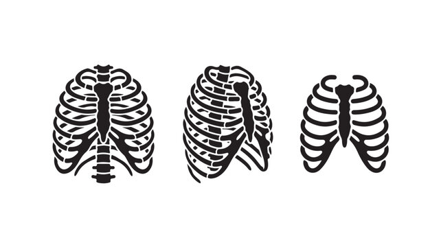 Ribcage Illustrations For Medical Educational Concepts