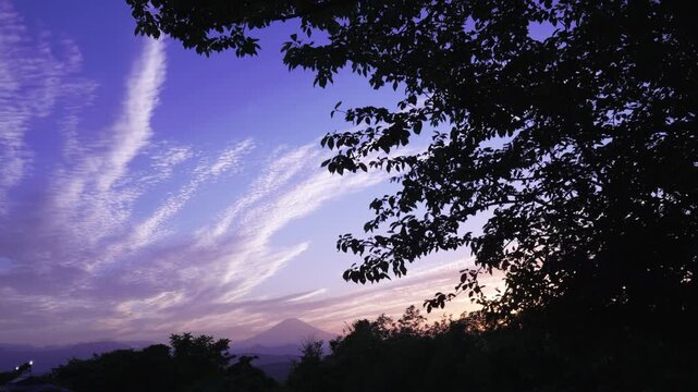 Beautiful silhouette of Mount Fuji under a purple twilight sky with dramatic clouds and tree leaves swaying in the wind