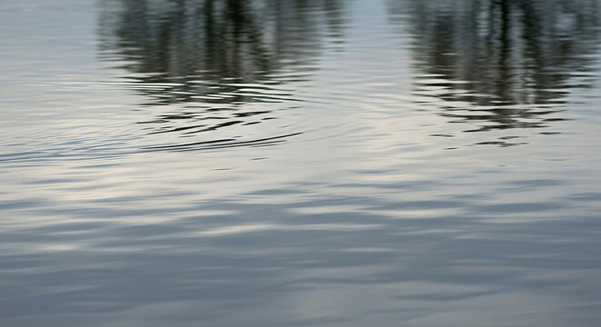 Rippling water surface with blurred reflections of trees at dusk.
