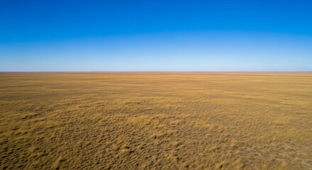 Fototapeta premium Vast Open Dry Landscape Under a Clear Blue Sky.