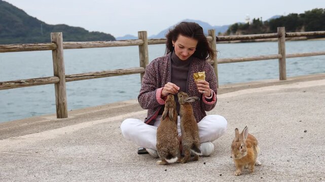 Rabbit Island, Japan, Okunoshima Island landscape in Seto Inland Sea, Takehara, Hiroshima Prefecture, domestic and wild cute rabbits and bunnies pasturing on grass, Setonaikai National Park, Japan