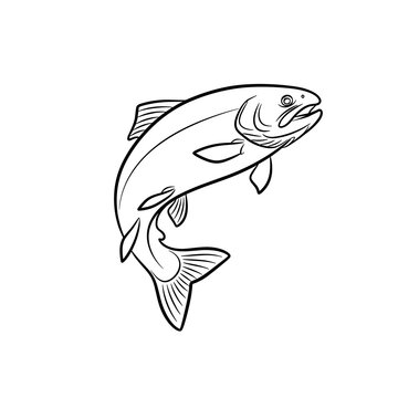 Black Outline Sketch of a Jumping Trout