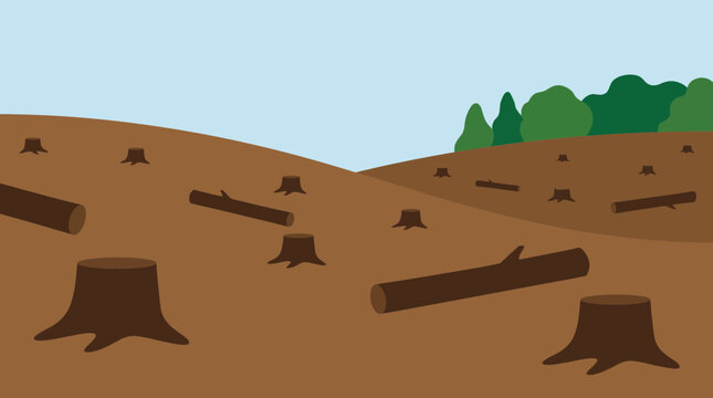 Deforestation Leaving Barren Hillside After Logging
