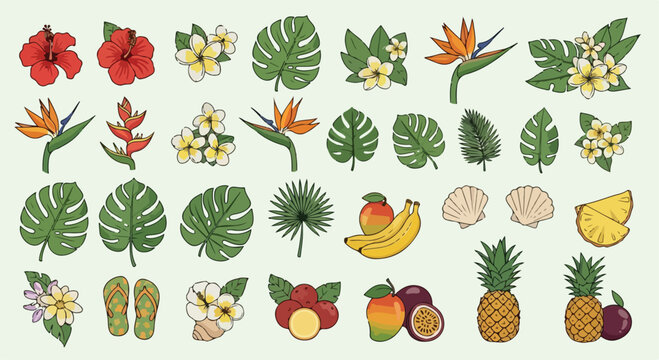 Tropical summer vector icons set, exotic hibiscus and plumeria flowers, monstera and palm leaves, beach vacation fruit and seashell illustrations