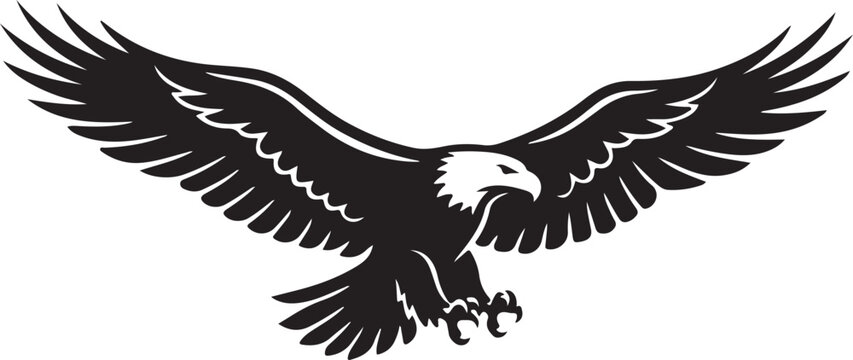 bald eagle Vector