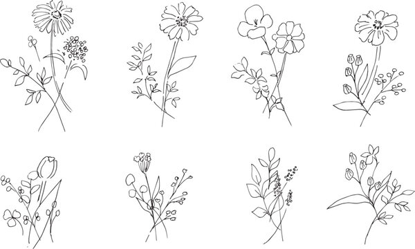 線画。植物の線画イラスト。モノクロの植物イラストセット。線画で描いた花々。Line drawings. Line art illustrations of plants. A set of monochrome plant illustrations. Flowers drawn in line art.