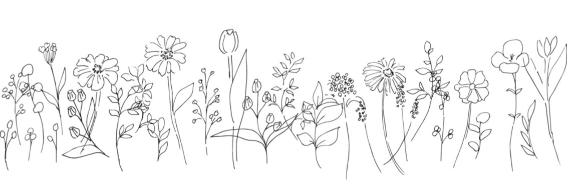 線画。植物の線画イラスト。モノクロの植物イラストセット。線画で描いた花々。Line drawings. Line art illustrations of plants. A set of monochrome plant illustrations. Flowers drawn in line art.