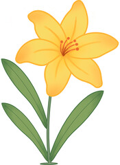 Obraz premium yellow lily flower