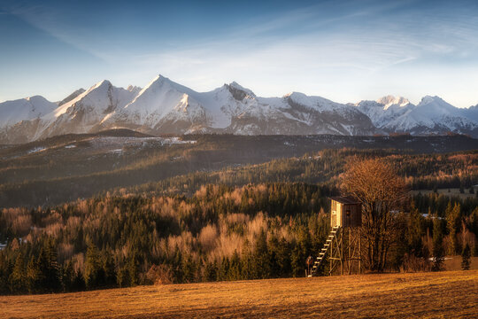 View of the snow-capped Tatra Mountains from Polana Glodowka with a wooden hunting stand in a golden field and dense evergreen forests Brzegi, Wojewodztwo Malopolskie, Poland.