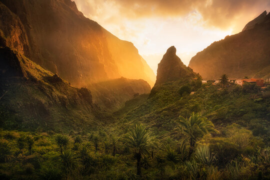 View of the historic village of Masca nestled among steep mountain cliffs and lush palm trees under a golden sunset sky in Masca, Canary Islands, Spain.