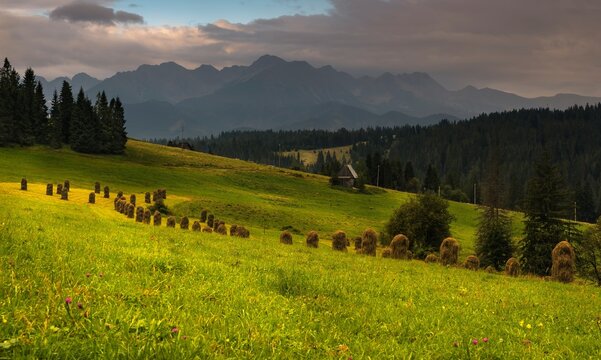View of the Tatra Mountains rising above a green meadow with traditional haystacks and a small wooden cabin Poland.