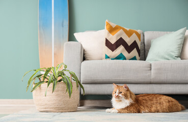 Cute fluffy cat lying on carpet in living room © Pixel-Shot
