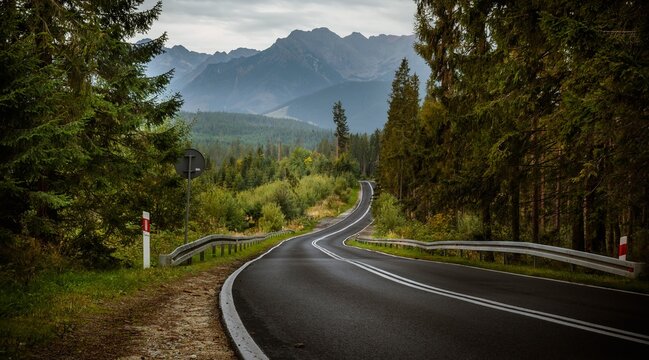 View of a winding asphalt road leading through a dense pine forest towards the Tatra Mountains under a cloudy sky Zakopane, Lesser Poland Voivode, Poland.