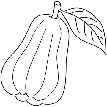 Fresh Whole Rose Apple Fruit with Leaf Line Art Vector Illustration