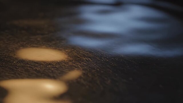 Blurry Abstract Light Reflections on Dark.
