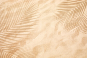 Obraz premium Selective focus of summer and holiday backgrounds concepts with closeup clean sand beach and shadow coconut leaf