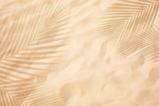 Selective focus of summer and holiday  backgrounds concepts with closeup clean sand beach and shadow coconut leaf
