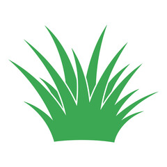 Fototapeta premium Green grass blades illustration on white background for design elements icon