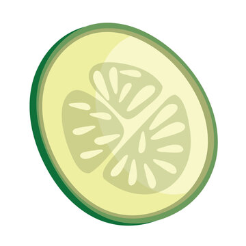 vector