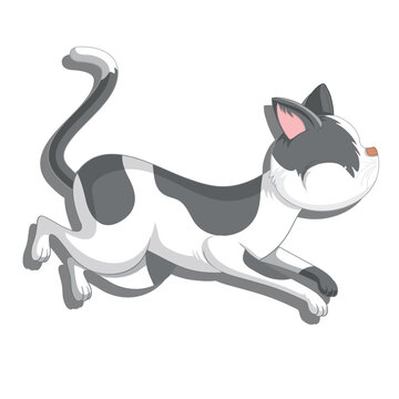 vector