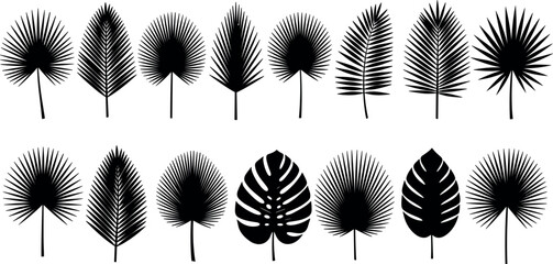 Black tropical leaf silhouette vector set with isolated palm fronds and monstera leaves elements for summer stencils and vinyl decals © MstBizly