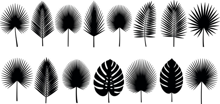 Black tropical leaf silhouette vector set with isolated palm fronds and monstera leaves elements for summer stencils and vinyl decals