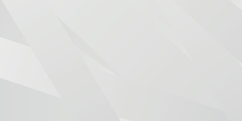 Obraz premium Abstract white and gray background. smooth abstract background, blurred pattern. Light pale vector background. Abstract pale geometric pattern eps 10