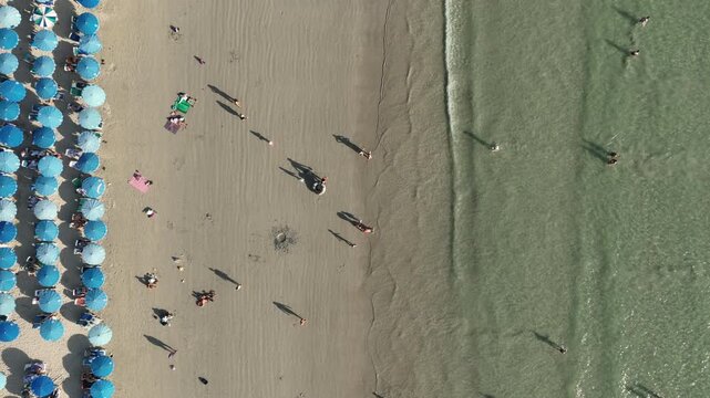 sunny day phuket island famous crowded beach bay full of blue umbrella coastline aerial topdown panorama 4k thailand