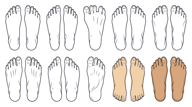 Human Foot Anatomy Set: Top View Outline and Realistic Illustrations