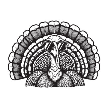 Cool Turkey Wearing Sunglasses with Feathers Fan Illustration