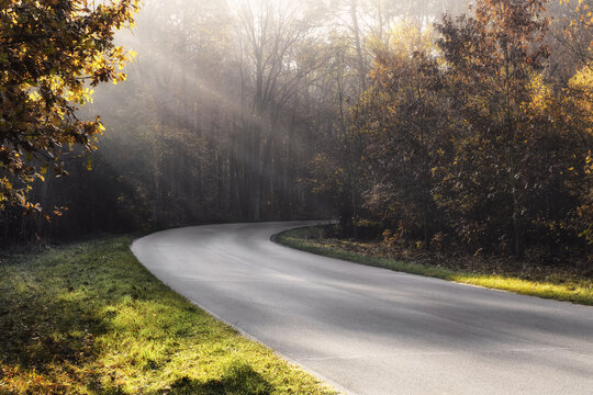 View of a winding asphalt road through an autumn forest with sunbeams filtering through the trees in Tarnobrzeg, Podkarpackie Voivodeship, Poland.