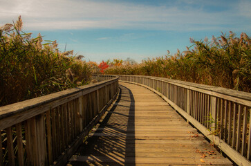 Fototapeta premium boardwalk by the bay