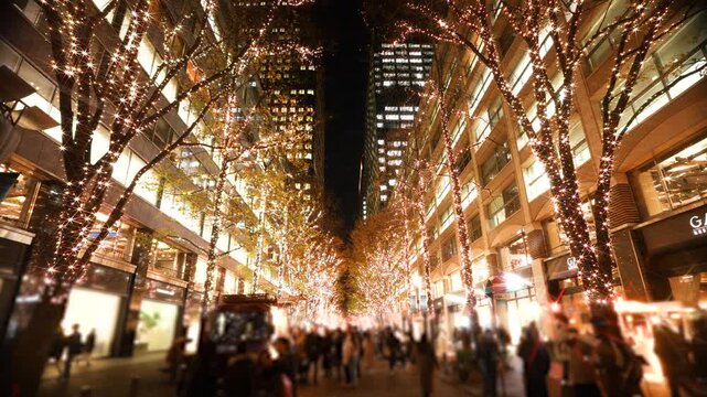 東京・丸の内 クリスマスイルミネーション