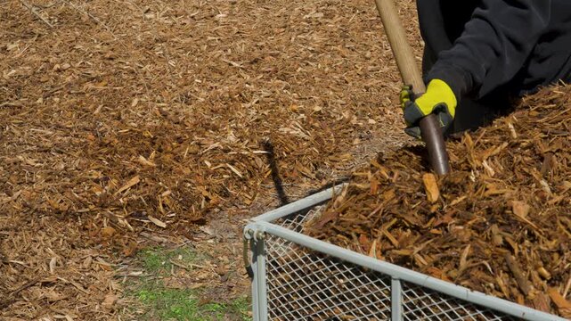Speed ramped clip to show slow motion of scooping up mulch with a pitchfork.