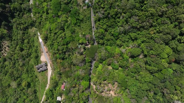 sunny day phuket island traffic mountain road aerial topdown panorama 4k thailand 