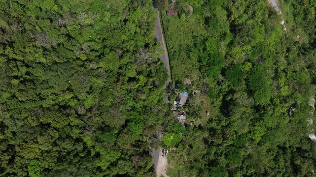 sunny day phuket island traffic mountain road aerial topdown panorama 4k thailand 