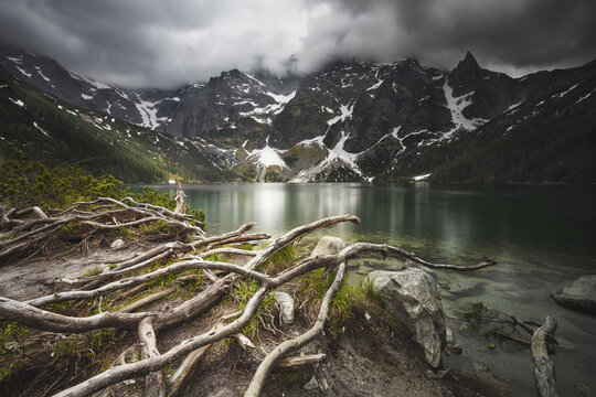 View of Morskie Oko lake surrounded by rugged snow-dusted mountains under a dramatic cloudy sky with gnarled tree roots in the foreground Tatra County, Lesser Poland, Poland.
