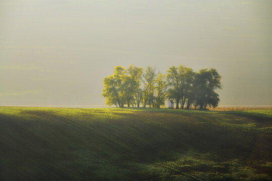 View of rolling green hills and a small cluster of trees with a white chapel under soft misty light in Moravia, Brno-City District, South Moravian Region, Czechia.