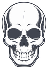 Obraz premium Stylized human skull illustration with detailed bone structure and dark eye sockets.